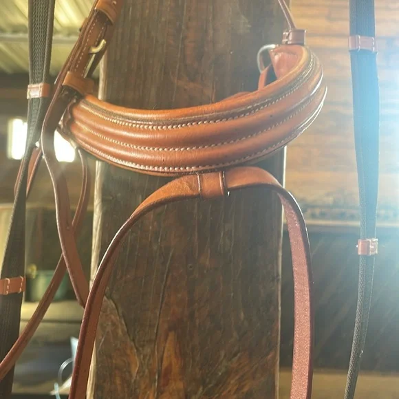 Horse Crank Noseband Flash Bridle - Picture 2 of 4